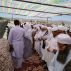 مراسم تشییع جنازه حضرت مولانا محمد انور ملازهی (رحمه الله علیه) برگزار شد